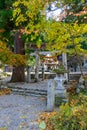 Historic Village of Shirakawa-go in autumnÃ£â¬â¬Shirakawa-Hachiman shrine